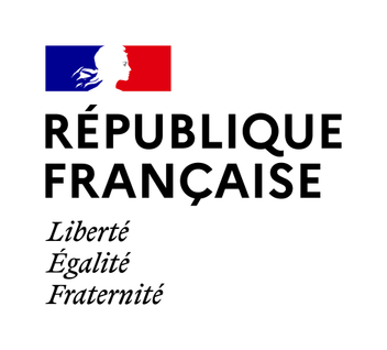 Logo RF 2020