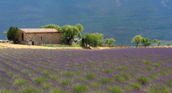 Provence