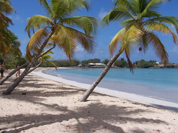 Plage de Martinique