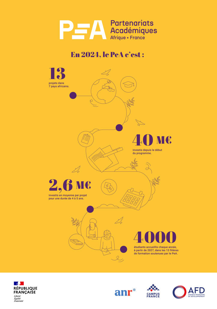 Partenariats Afrique-France infographie