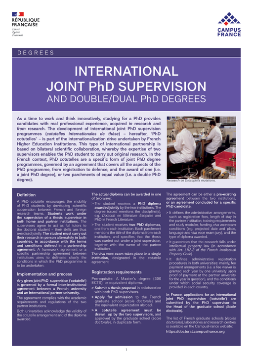 phd joint supervision